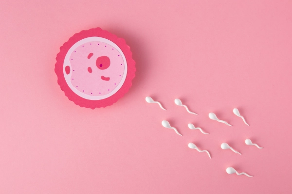 IUI Consultation IUI Consultation